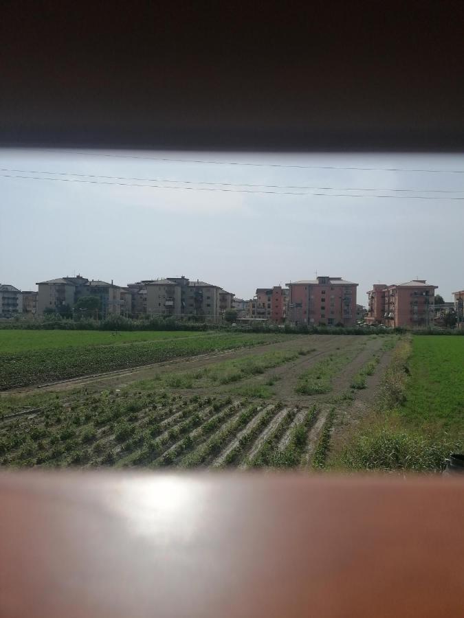 B&B Cilento פסטום מראה חיצוני תמונה
