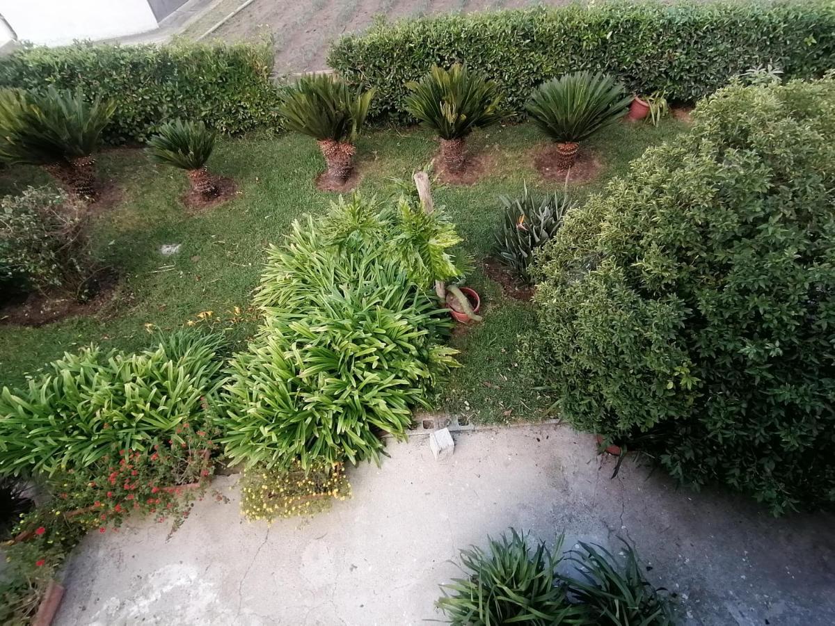 B&B Cilento פסטום מראה חיצוני תמונה
