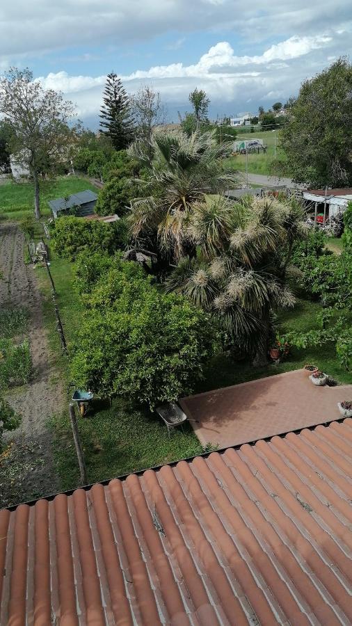 B&B Cilento פסטום מראה חיצוני תמונה