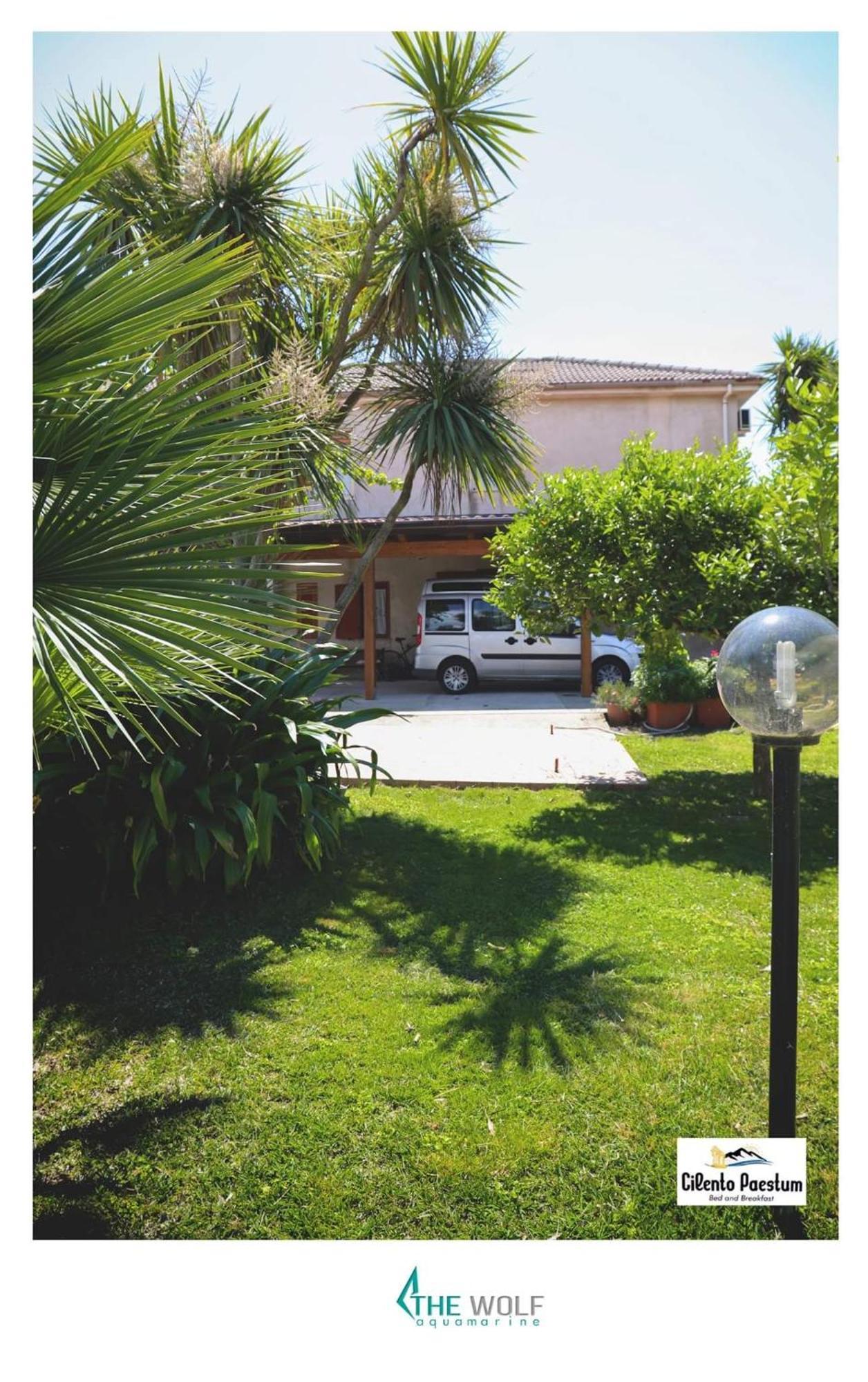 B&B Cilento פסטום מראה חיצוני תמונה