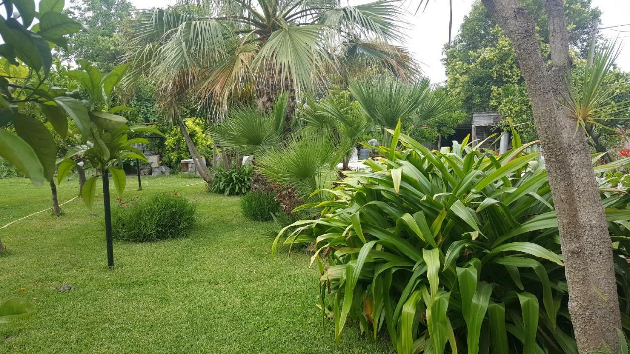 B&B Cilento פסטום מראה חיצוני תמונה